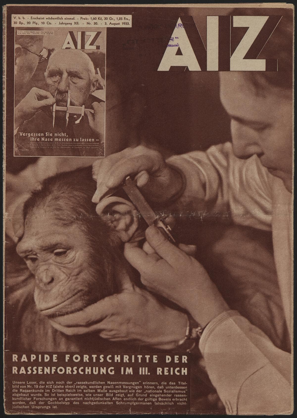AIZ 12 (1933), 30 Copertina